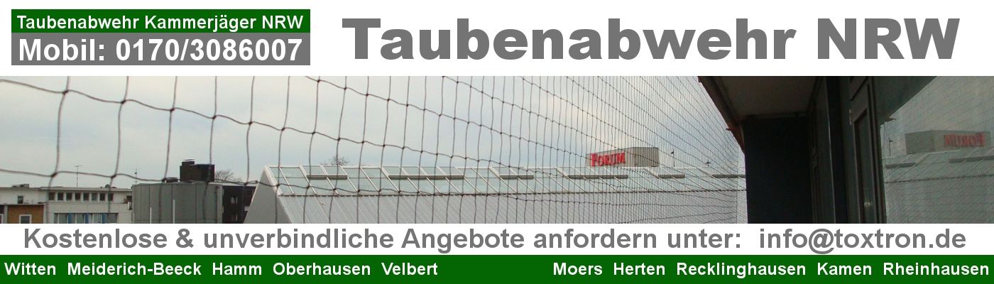 Taubenabwehr/ Kammerjäger NRW